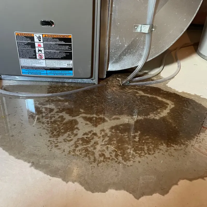 Appliance Leak Cleanup in Morgantown, WV
